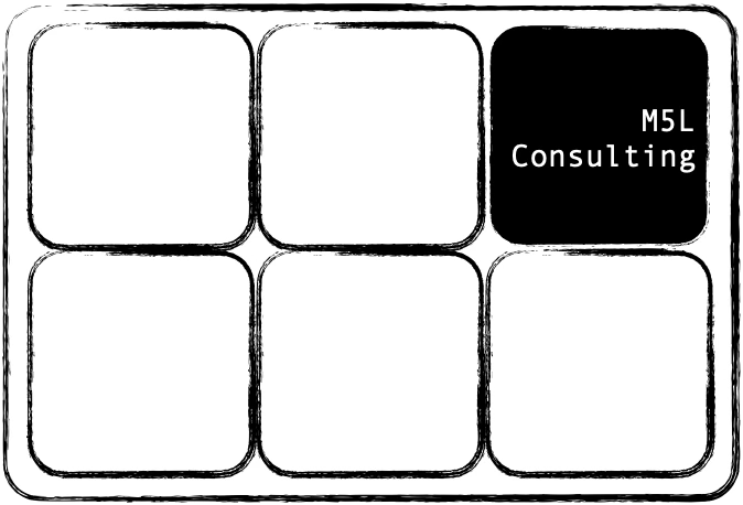 M5L Consulting